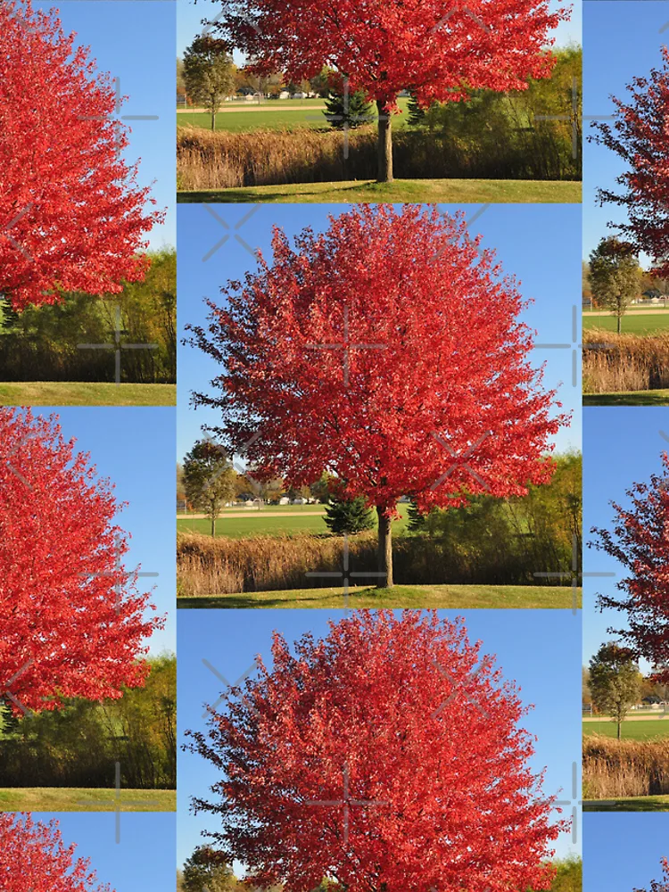 Thumbnail 4 of 4, iPhone Case, Red Maple Tree designed and sold by DesignMore21.