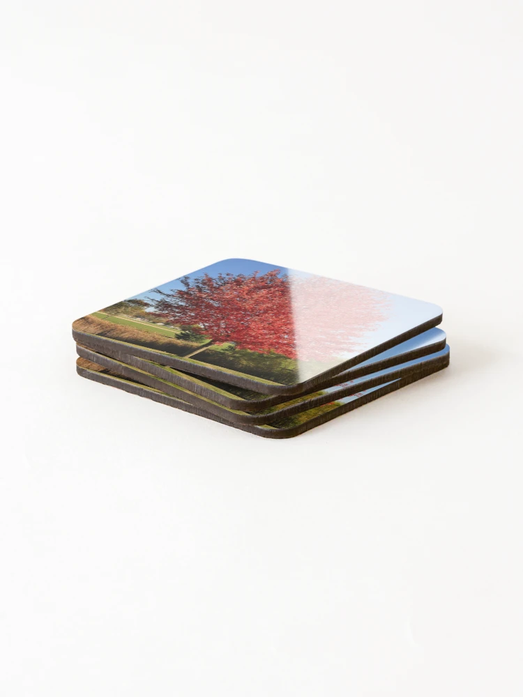 Thumbnail 4 of 5, Coasters (Set of 4), Red Maple Tree designed and sold by DesignMore21.