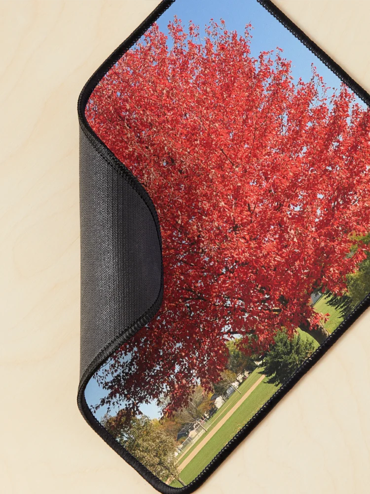 Thumbnail 2 of 5, Mouse Pad, Red Maple Tree designed and sold by DesignMore21.