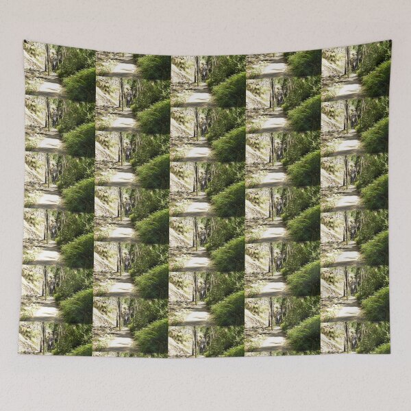 Item preview, Path to Waterfalls - Grampians, Vic. Australia designed and sold by EdsMum.