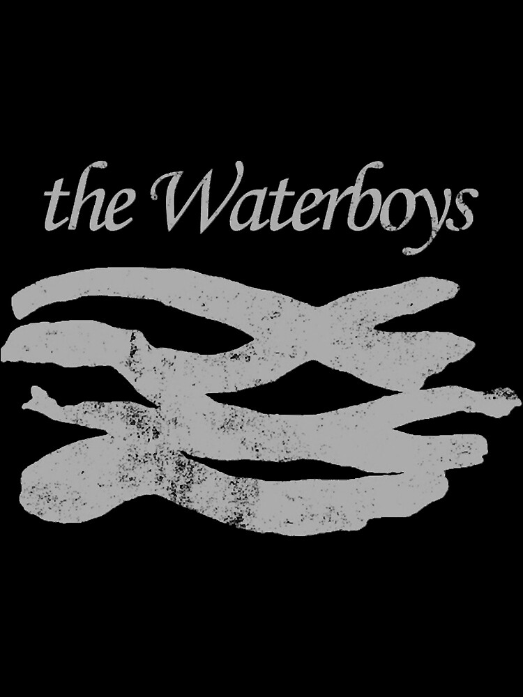 "The Waterboys" Poster for Sale by Haid13452 Redbubble
