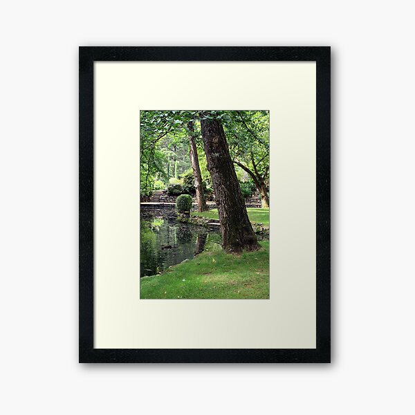 Item preview, Shades of Green ay Alfred Nicholas Gardens, in Mount Dandenong. designed and sold by WendyJC.