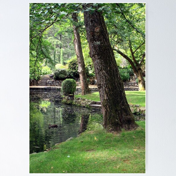 Item preview, Shades of Green ay Alfred Nicholas Gardens, in Mount Dandenong. designed and sold by WendyJC.