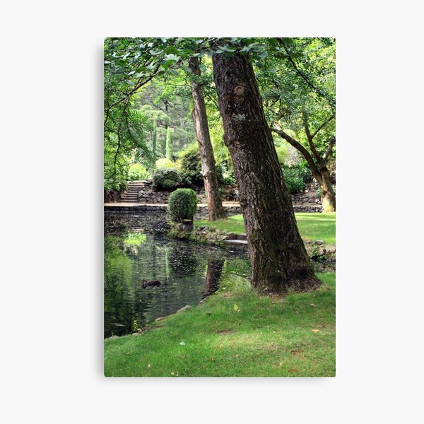 Item preview, Shades of Green ay Alfred Nicholas Gardens, in Mount Dandenong. designed and sold by WendyJC.