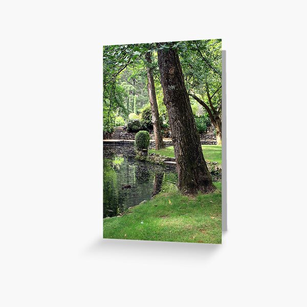 Item preview, Shades of Green ay Alfred Nicholas Gardens, in Mount Dandenong. designed and sold by WendyJC.
