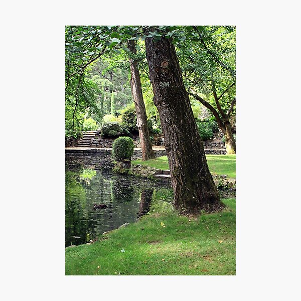 Item preview, Shades of Green ay Alfred Nicholas Gardens, in Mount Dandenong. designed and sold by WendyJC.