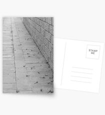 Trail of flowers Postcards