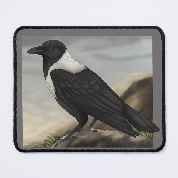 Item preview, Collared crow designed and sold by DragonArtist15.