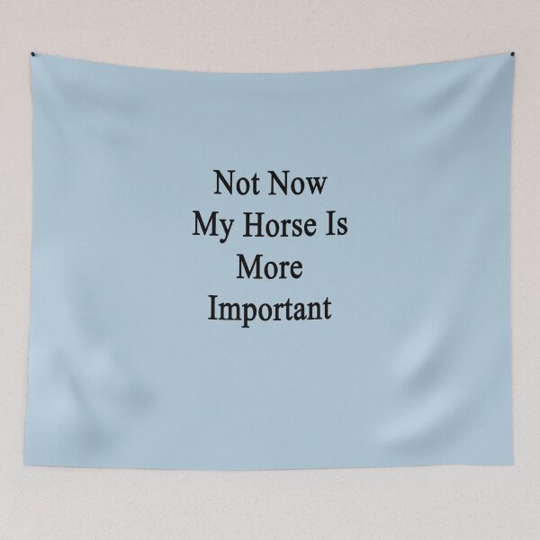 Item preview, Not Now My Horse Is More Important  Sticker designed and sold by Maximmidt.