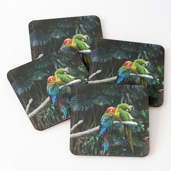 Item preview, Two Parrots in the Rainforest Photo designed and sold by Happy-Trails.