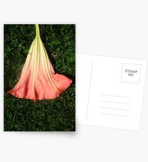 Summer Skirt Postcards
