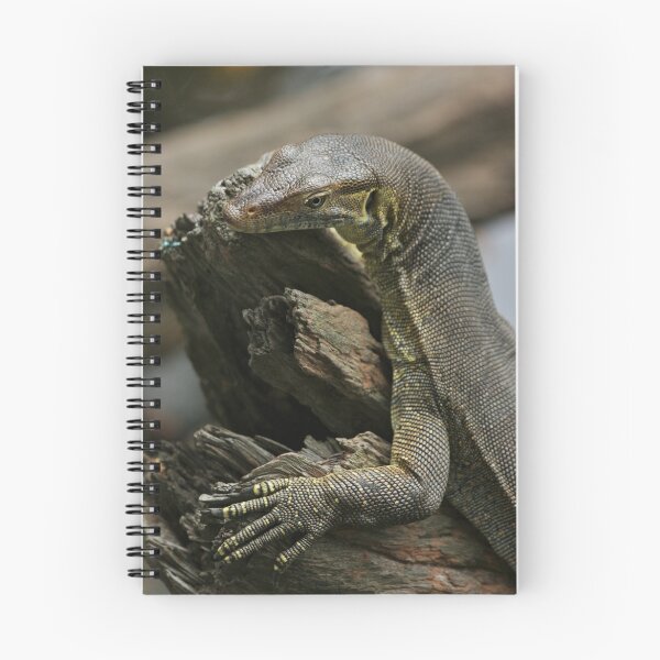 Item preview, Lazy lizard designed and sold by AnnaKT.