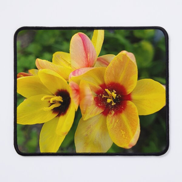 Item preview, Spring Flowers designed and sold by Honey Myrtle Studio.