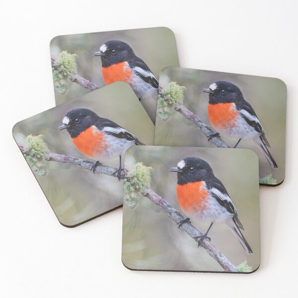Item preview, Scarlet Robin perched in a tree designed and sold by RAFImages.
