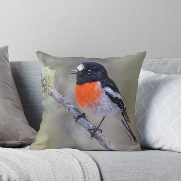 Item preview, Scarlet Robin perched in a tree designed and sold by RAFImages.