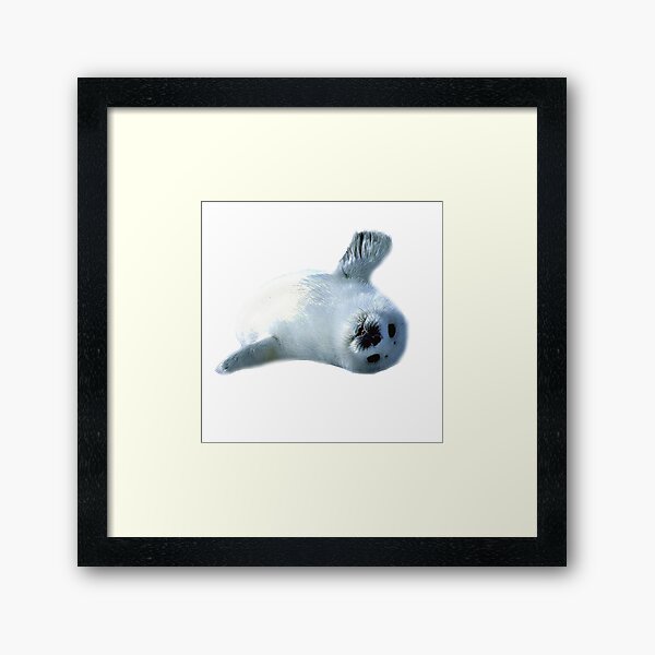 Item preview, Harp Seal designed and sold by sophiemonie.