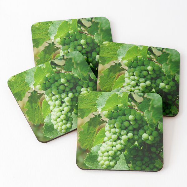 Item preview, Riesling grape vines in a french vineyard | Alsace white wines  designed and sold by CarolinaReina.