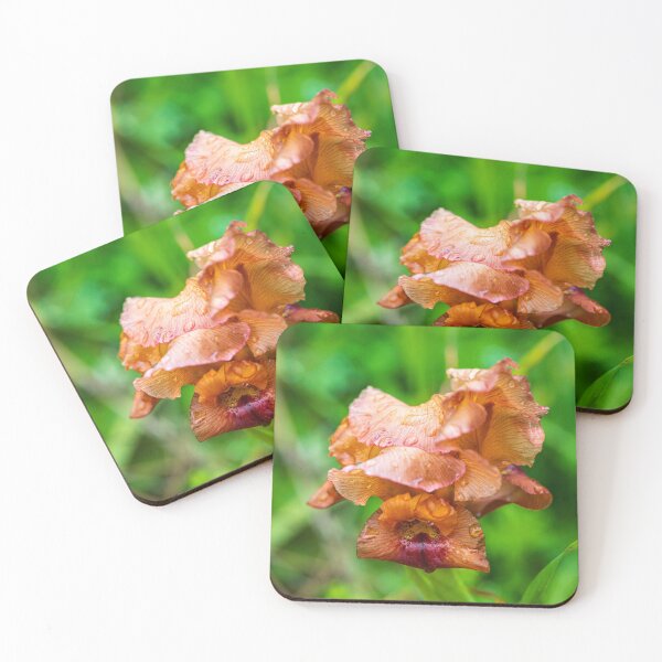 Item preview, Raindrops on golden iris flowers closeup. selective focus designed and sold by EG Creativity Art.