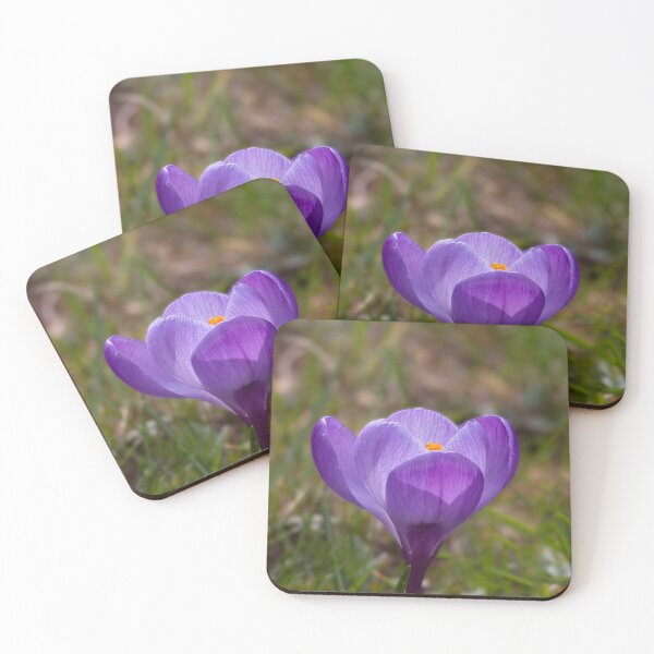 Item preview, Closeup of a crocus flower designed and sold by pietrofoto.