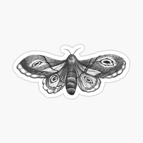 Moth Sticker