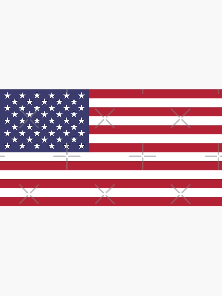 USA Flag by states