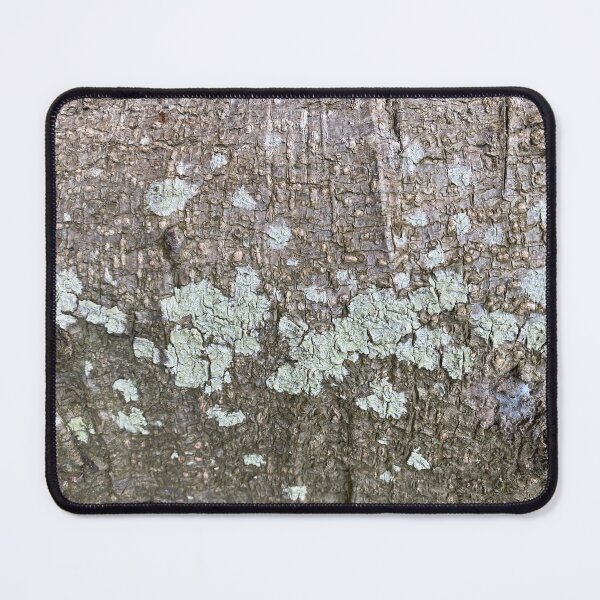 Item preview, Green Lichen on Tree Bark designed and sold by Sinemathk.
