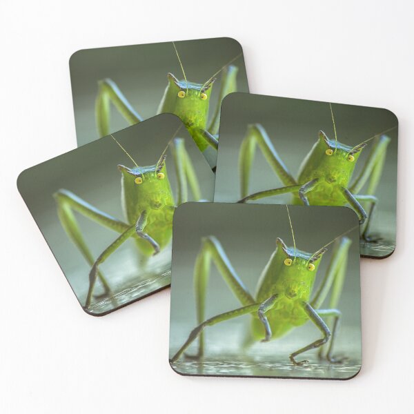 Item preview, Green Bug with Long Legs designed and sold by Steven Jodoin.