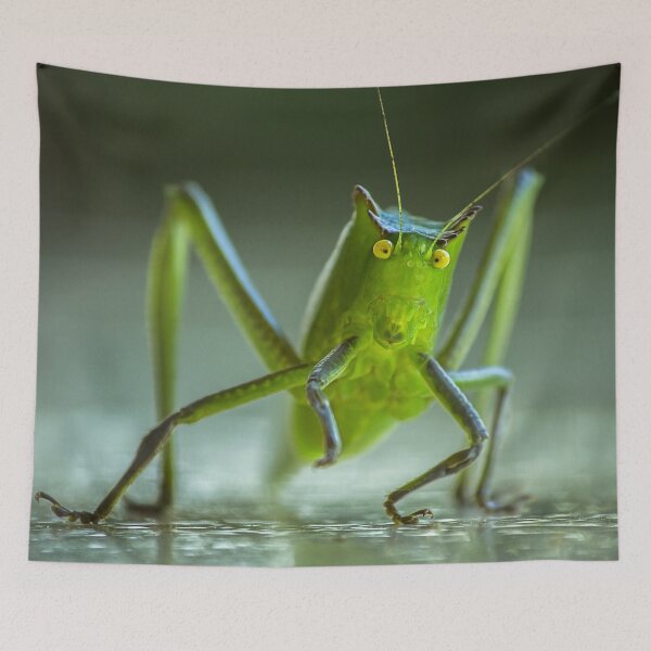 Item preview, Green Bug with Long Legs designed and sold by Steven Jodoin.