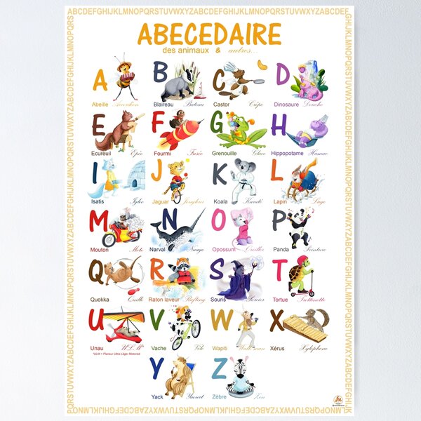 Animal Alphabet Affiche - Alphabet animalier 
