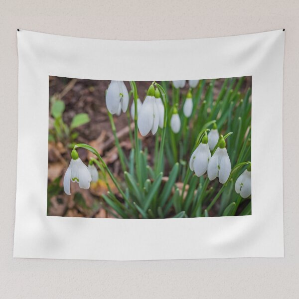 Item preview, Winter snowdrops designed and sold by yackers1.