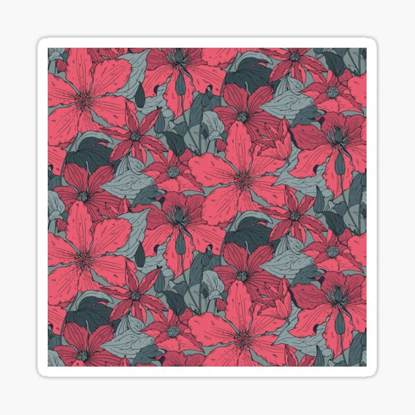 Hand Drawn clematis flowers Sticker