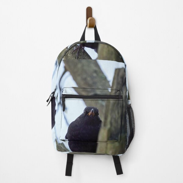Item preview, The Young Prince. Eurasian blackbird designed and sold by Jouko Lehto Photography.