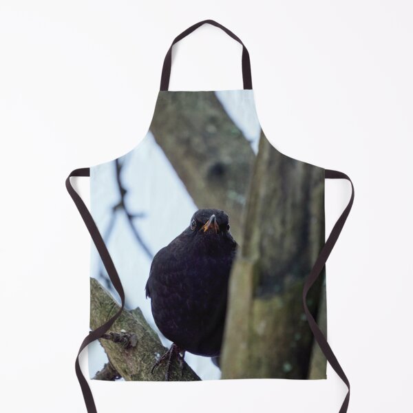 Item preview, The Young Prince. Eurasian blackbird designed and sold by Jouko Lehto Photography.