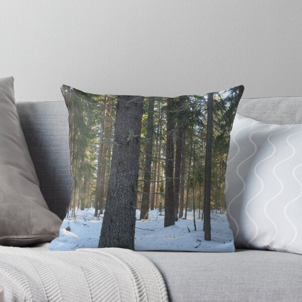 Item preview, Springdirt. Seitseminen March 2022 designed and sold by Jouko Lehto Photography.