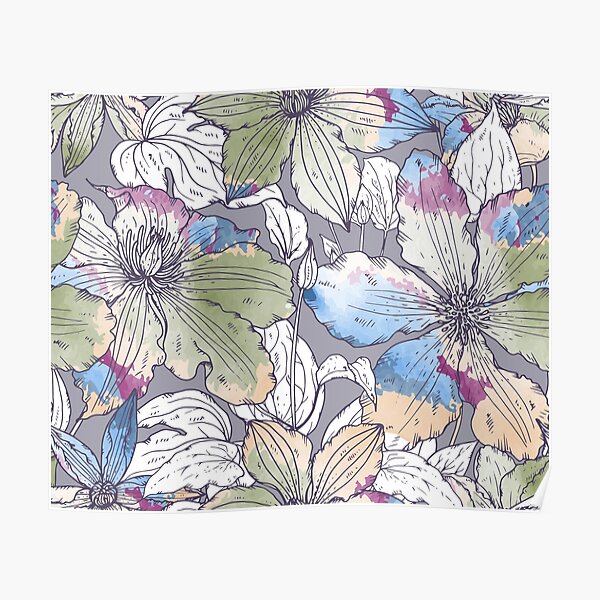 Colourful clematis flowers design Poster