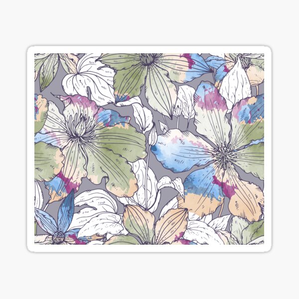 Colourful clematis flowers design Sticker