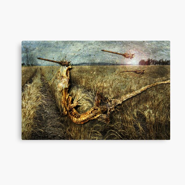 Item preview, The drought we face designed and sold by Jeff Davies.