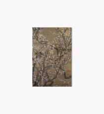 Itō Jakuchū White Plum Blossoms and Moon Art Board