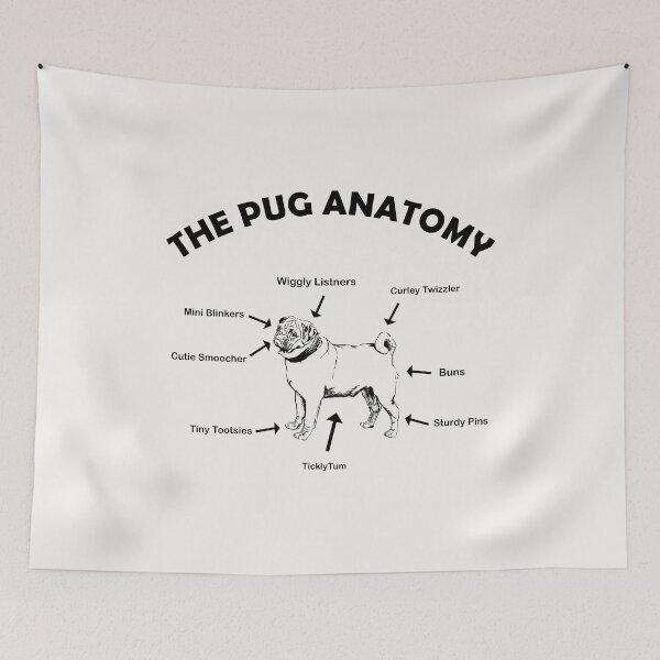 Item preview, Funny Pug Anatomy designed and sold by Pugstuff.