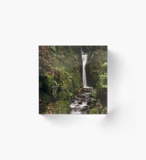 Dollar Glen Acrylic Block