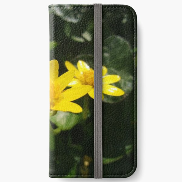 Lesser Celandine iPhone Wallet