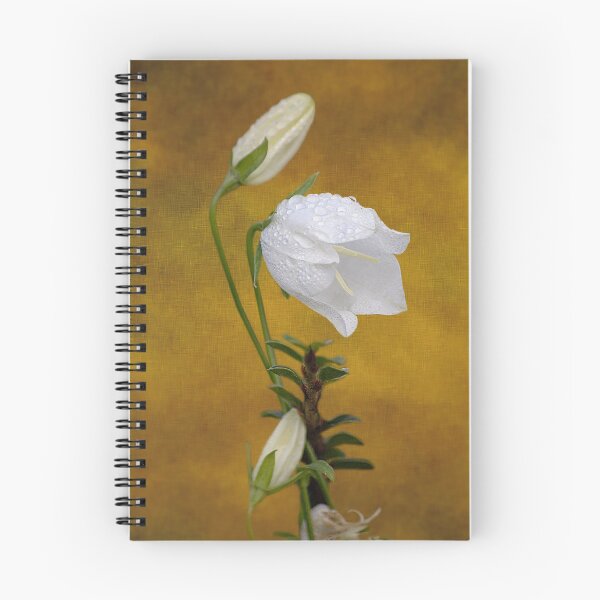 Item preview, ‘Fairy Bellflower’ - dew-covered flowerhead with buds designed and sold by sleepingdogprod.