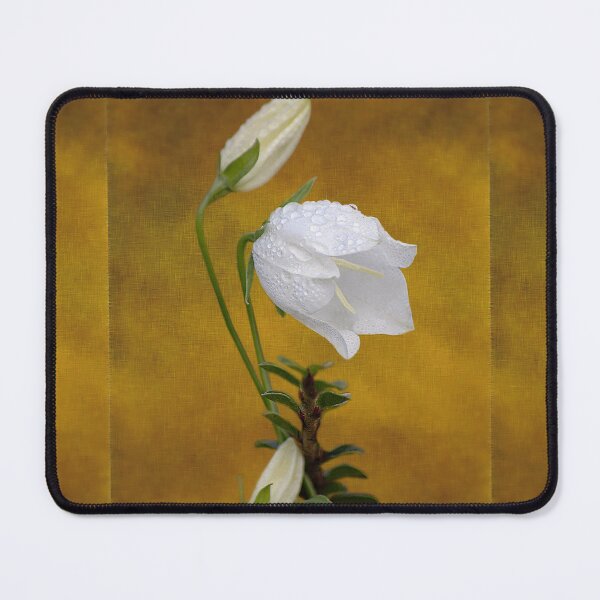 Item preview, ‘Fairy Bellflower’ - dew-covered flowerhead with buds designed and sold by sleepingdogprod.