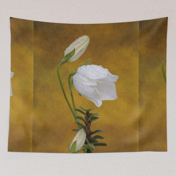 Item preview, ‘Fairy Bellflower’ - dew-covered flowerhead with buds designed and sold by sleepingdogprod.
