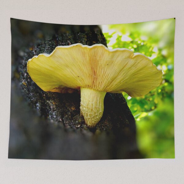 Item preview, Tree Mushroom designed and sold by Nicole Kiefer.