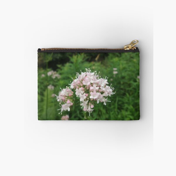 Item preview, Common valerian designed and sold by IOMWildFlowers.