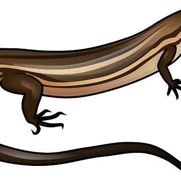 Artwork thumbnail, Glossy Grass Skink by Daniel Terrington