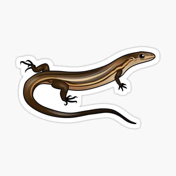 Item preview, Glossy Grass Skink designed and sold by Daniel Terrington.