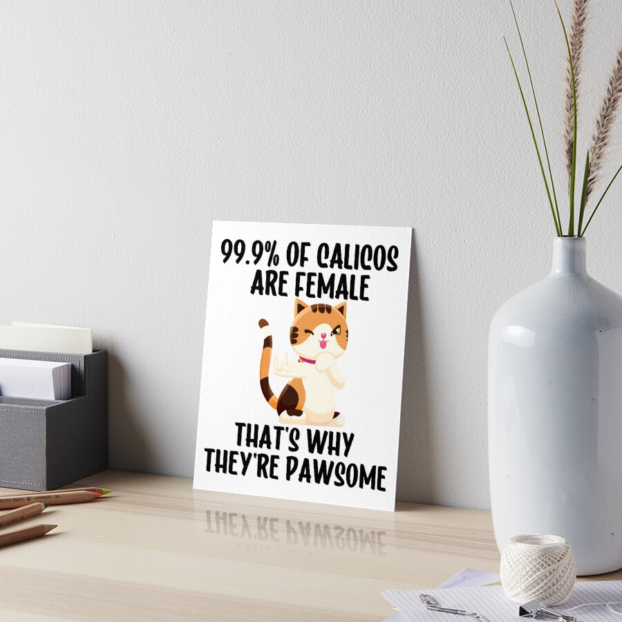 "Funny Calico Cat Tee. 99.9 of Calicos are female, that is why they