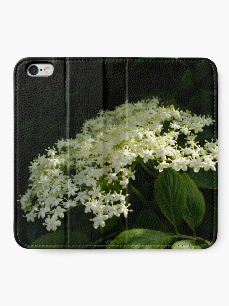 Alternate view of Elder iPhone Wallet